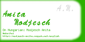 anita modjesch business card